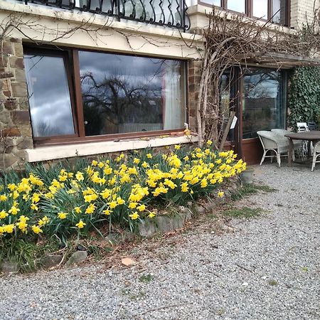 Dinant La Bergeronnette Avec La Chaleur Du Feu De Bois Et Le Jardin 빌라 외부 사진