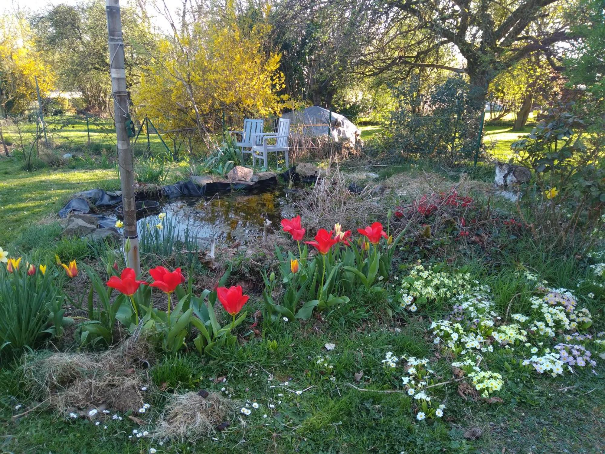 Dinant La Bergeronnette Avec La Chaleur Du Feu De Bois Et Le Jardin 빌라 객실 사진