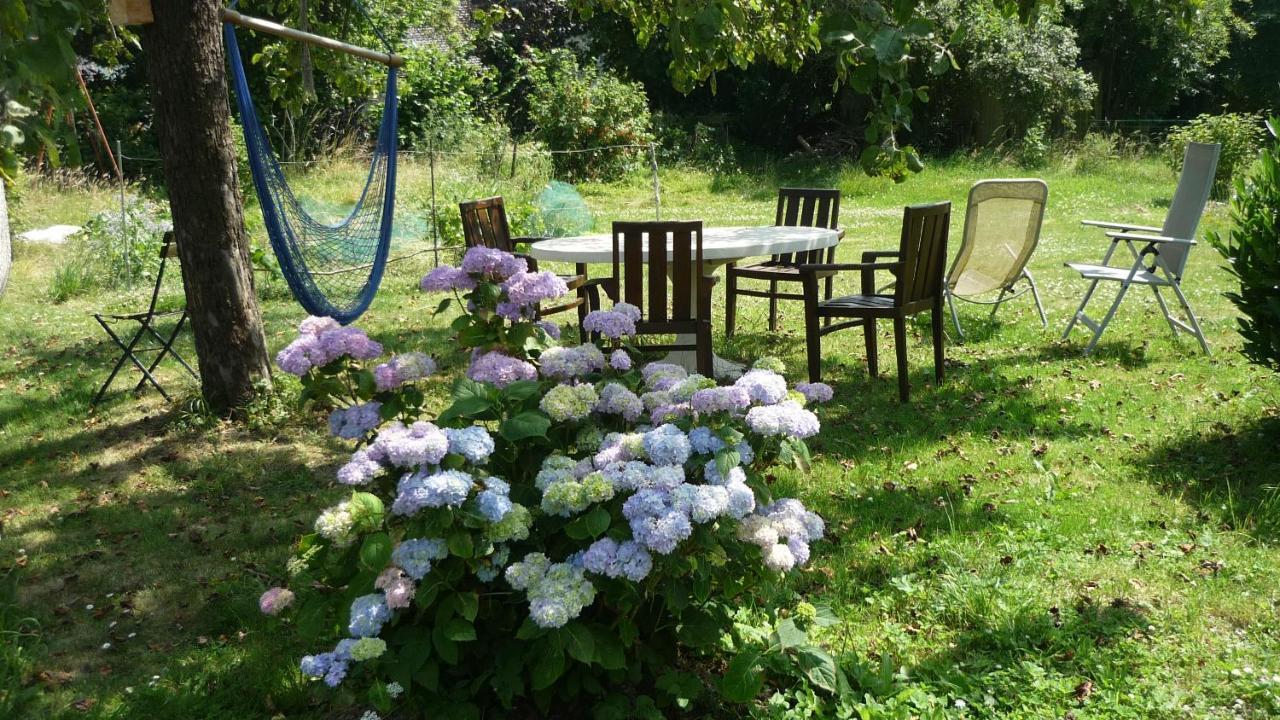Dinant La Bergeronnette Avec La Chaleur Du Feu De Bois Et Le Jardin 빌라 외부 사진